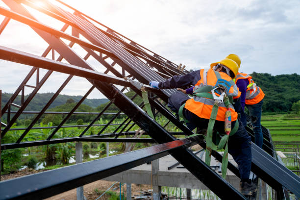 Best Roof Gutter Cleaning  in Dunn, NC