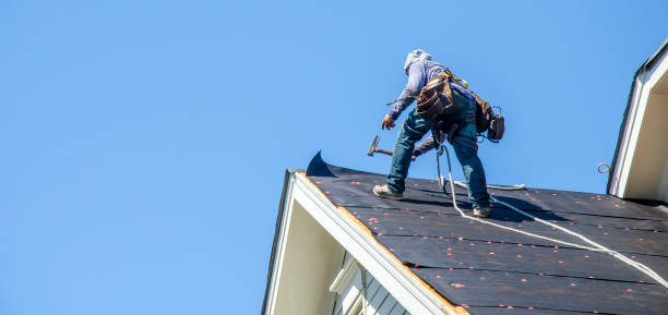 Best Metal Roofing Contractor  in Dunn, NC